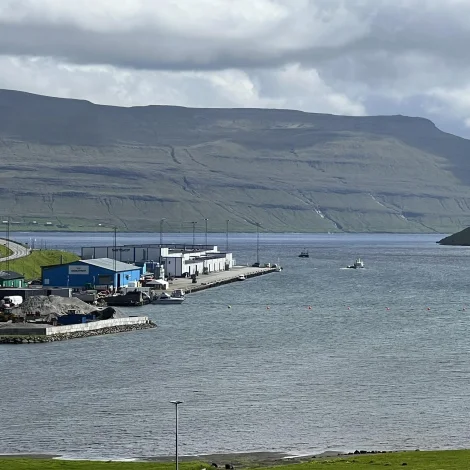 FM-kappróður á Kollafirði í dag