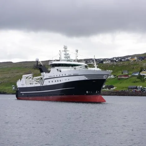 Emerald hevur landað góð 1.000 tons av rækjum í Norður Norra