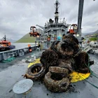 Áleið 40 stór fríholt tikin upp og burturbeind