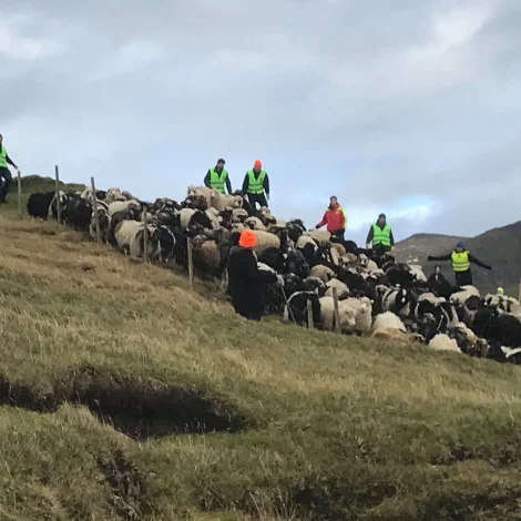 Slættaneshagi ásett gjald fyri vinnuliga ferðavinnu