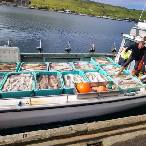 Góður fiskiskapur á Bankanum