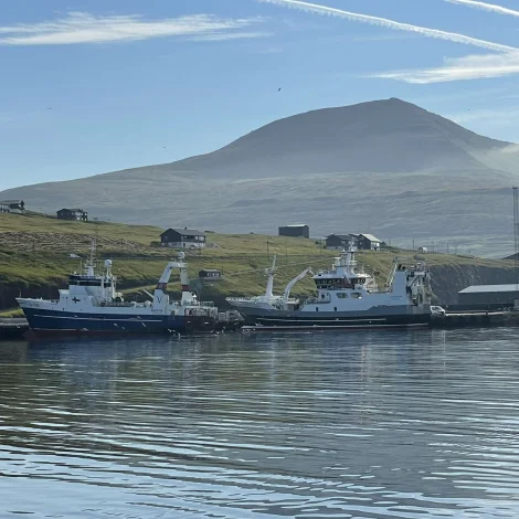 Vesturbúgvin landar gulllaks í Miðvági