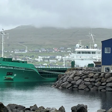 Saltimport fingið fyrstu lastina av salti