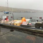 Fiskamarknaðurin metir um komandi viku