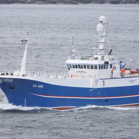 Sandshavið landar í Havn