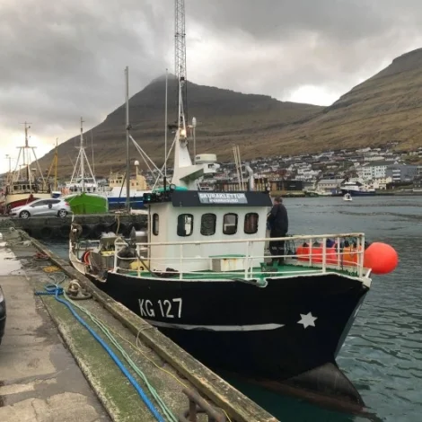 Nógvir útróðrarbátar selja á Fiskamarknaðinum