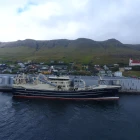 Finnur Fríði og Tróndur í Gøtu hava landað til Varðan Pelagic