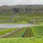 Økja framleiðsluna av dygdargóðum landbúnaðarvørum