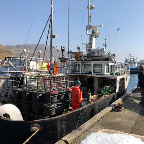 Nógvir útróðrarbátar selja á Fiskamarknaðinum