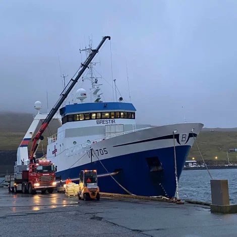 Brestir hevur landað svartkalva til Snarfrost