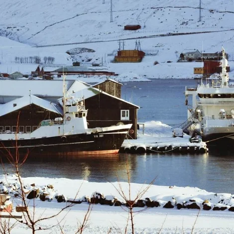 Vestmenningur landar makrel í Vestmanna