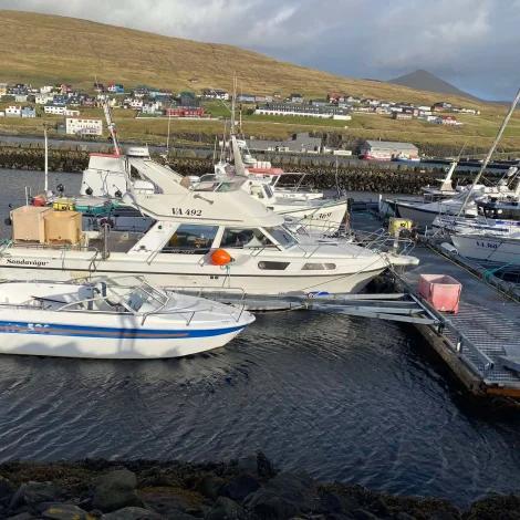 Nógvir útróðrarbátar selja á Fiskamarknaðinum