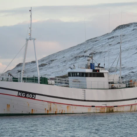 Seks útróðrarbátar selja á Fiskamarknaðinum