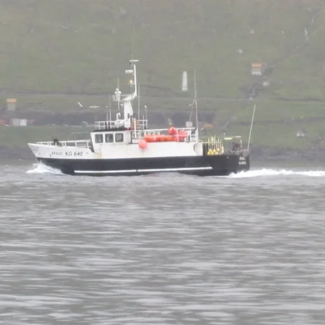 Nakrir útróðrarbátar selja á Fiskamarknaðinum