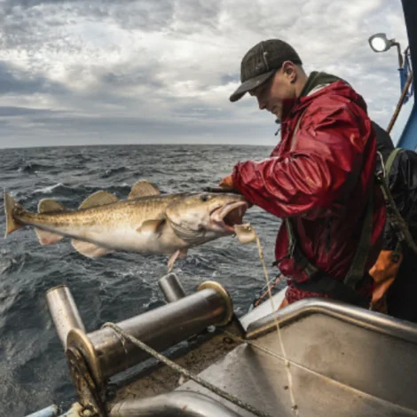 Fiskiveiðiavtalan millum Føroyar og Ísland óbroytt í 2025