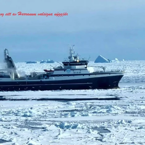 Jólaheilsan Polar Qaasiut