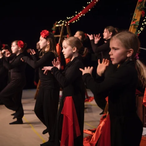 “Hevur tú sæð Carmen?” - ein pixiopera fyri børn