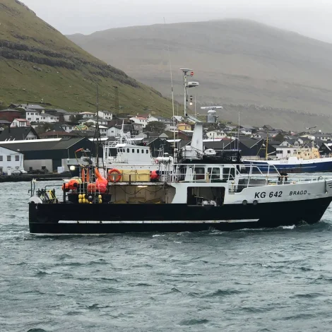 Nógvir útróðrarbátar selja á Fiskamarknaðinujm