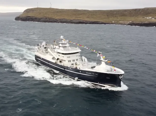 Video: Høgaberg komin at landi