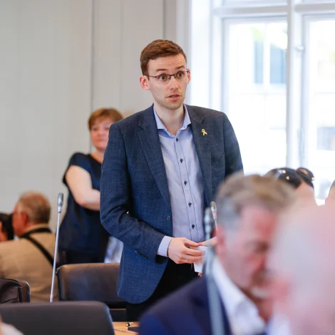 Er Miðflokkurin eitt problem barn?