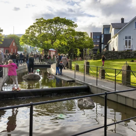 Tónar, list og lív í Havn