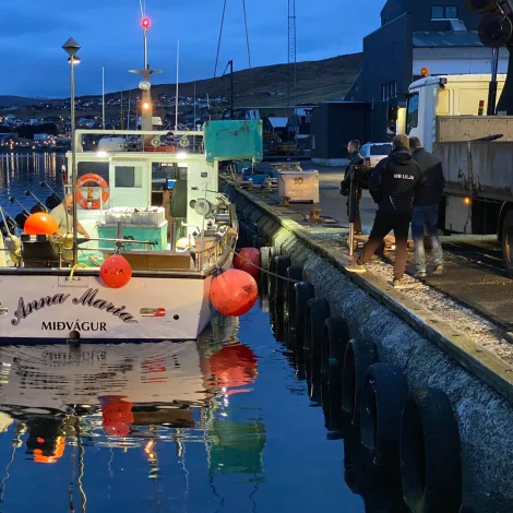 Nógvur útróðrarfiskur boðin út á Fiskamarknaðinum