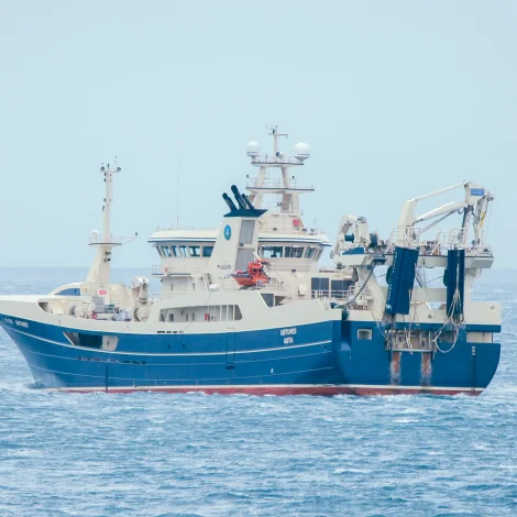 Smáligur sildafiskiskapur