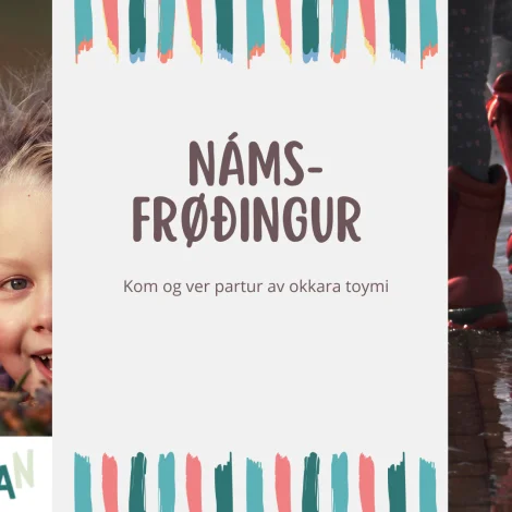 Námsfrøðingur til Smílikulluna