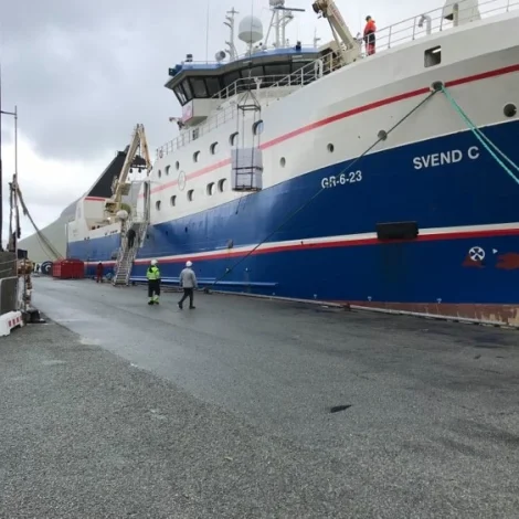 Svend C. landar makrel í Kollafirði