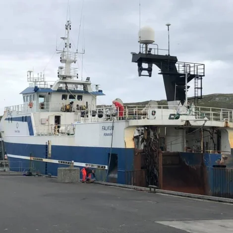 Heykur og Falkur høvdu ein roktúr