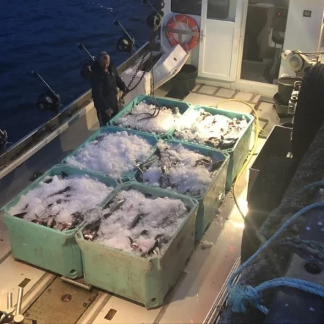 Nógvur útróðrarfiskur á Fiskamarknaðinum