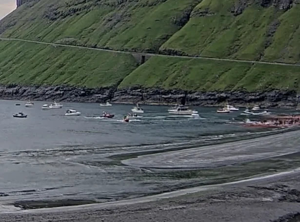 (Skíggjamynd: Føroyar.live)