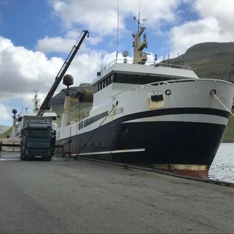 Polarhav og Stjørnan landa gulllaks í Klaksvík