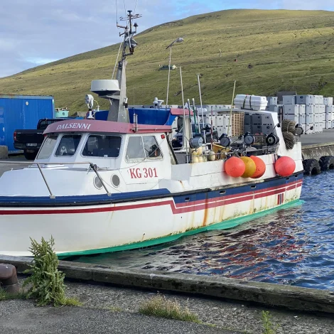 12 útróðrarbátar selja á Fiskamarknaðinum