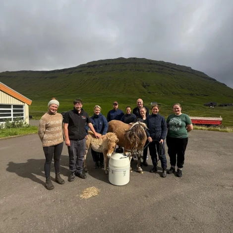 Tiltak um varðveiting av Føroyska Rossinum – við serfrøðingi úr Bretlandi