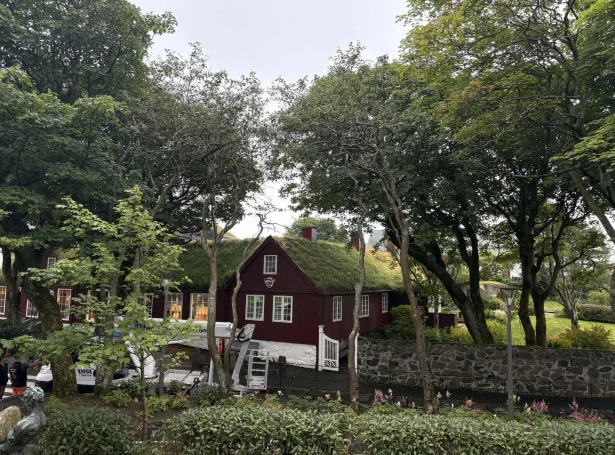 - Vit leggja stóran dent á at varðveita trøini so leingi sum gjørligt. Men tá tey gerast ov veik og sjúk, noyðast vit at fella tey fyri at tryggja bæði borgarar, hús og bilar