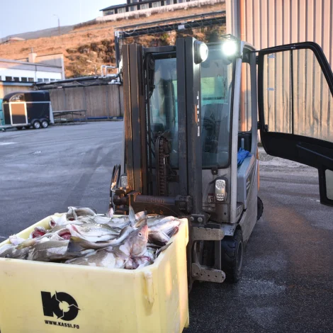 Seks útróðrarbátar selja á Fiskamarknaðinum