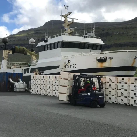 Polarhav og Stjørnan hava fiskað gulllaksakvotuna