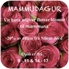 Summarbókin í Filmsfelagnum