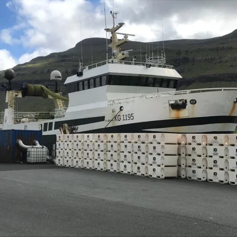 Polarhav og Stjørnan landa gulllaks