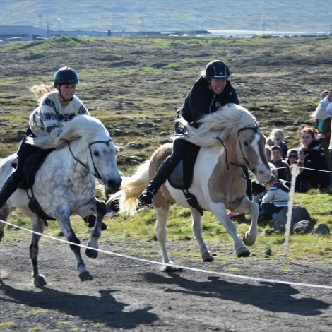 (Mynd: Ríðisamband Føroya)