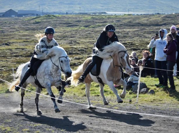 (Mynd: Ríðisamband Føroya)