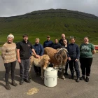 Søga skrivað hjá føroyska rossinum og í altjóða høpi