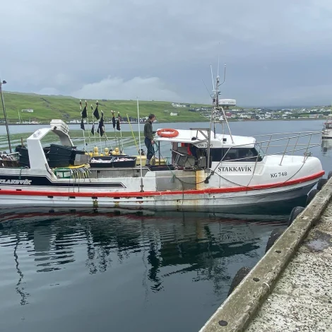 Nakrir útróðrarbátar selja á Fiskamarknaðinum