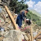 WHO vil hava Taliban at strika avmarkingar fyri kvinnur