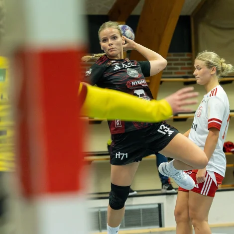 (Mynd: Sverri Egholm)