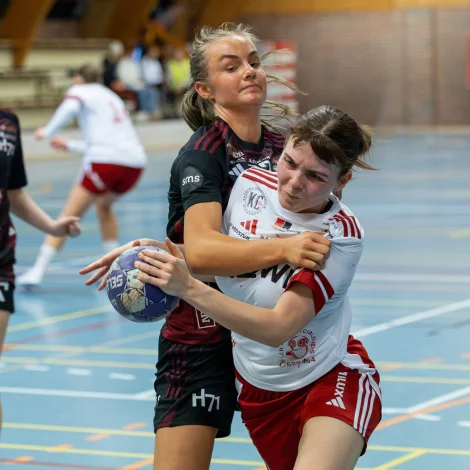 (Mynd: Sverri Egholm)