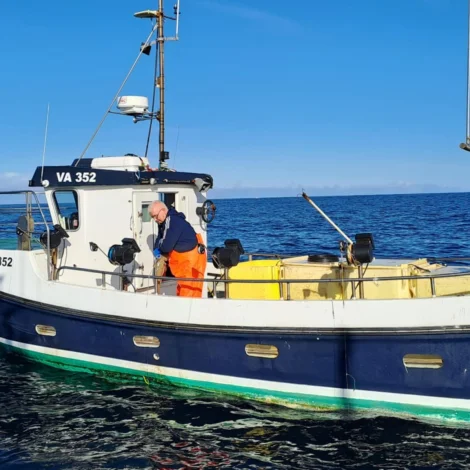 10 útróðrarbátar selja á Fiskamarknaðinum