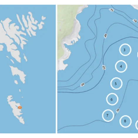 Nýggj vísindagrein um bakteriusamfeløg hjá rognkelsum