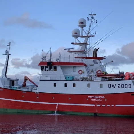 Veturhavið selur á Fiskamarknaðinum